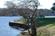 Eliot Boat Basin
